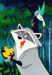 meeko1.jpg
